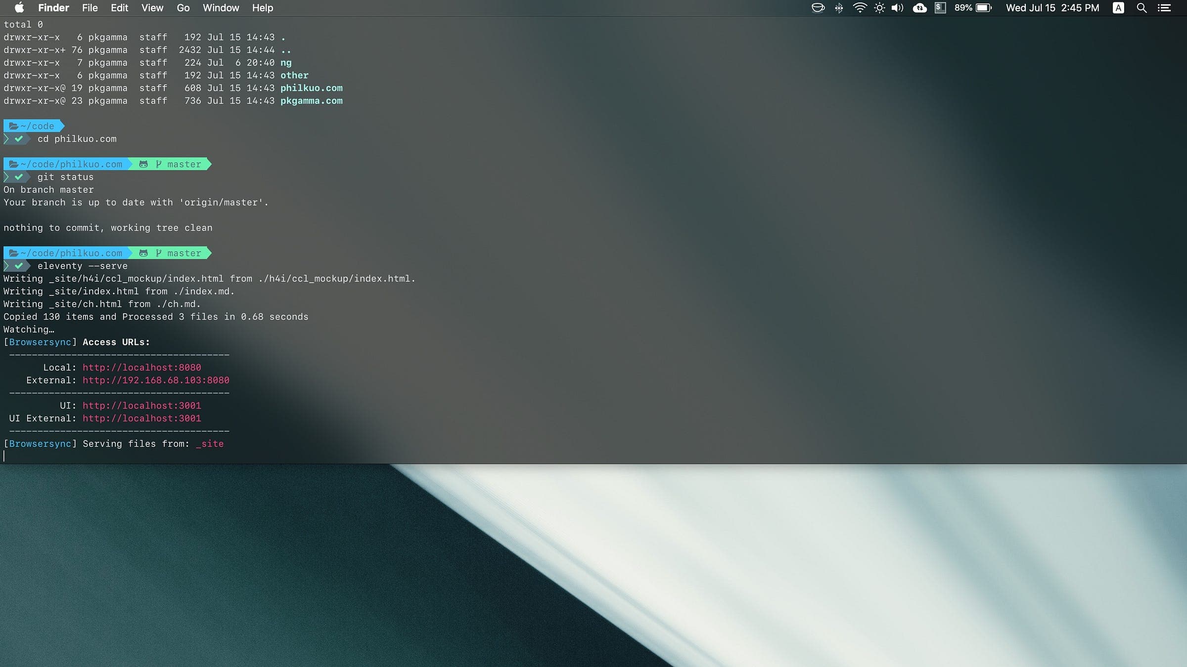 iTerm with a customized prompt